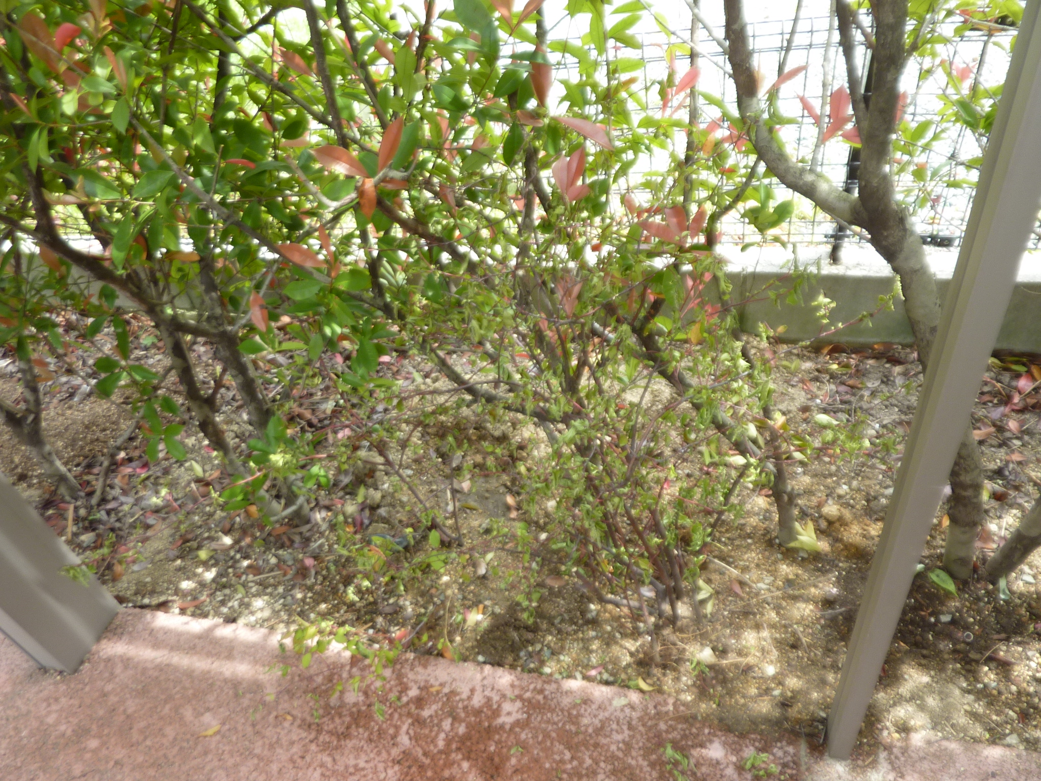 P1130637.JPG