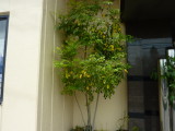 img0004.jpg