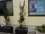 img0007.jpg