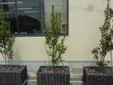 img0008.jpg