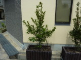 img0012.jpg