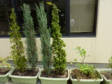 img0015.jpg