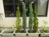 img0016.jpg