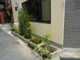 img0020.jpg