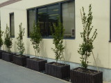 img0022.jpg