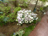 img0024.jpg