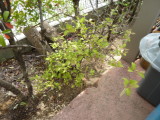 img0033.jpg