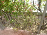 img0034.jpg