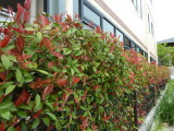img0035.jpg