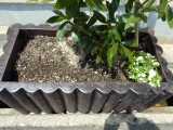 img0002.jpg