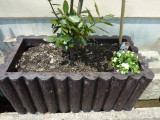 img0005.jpg