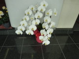 img0006.jpg