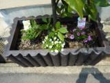 img0012.jpg