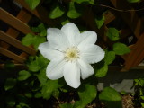 img0017.jpg