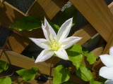 img0019.jpg