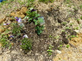 img0020.jpg