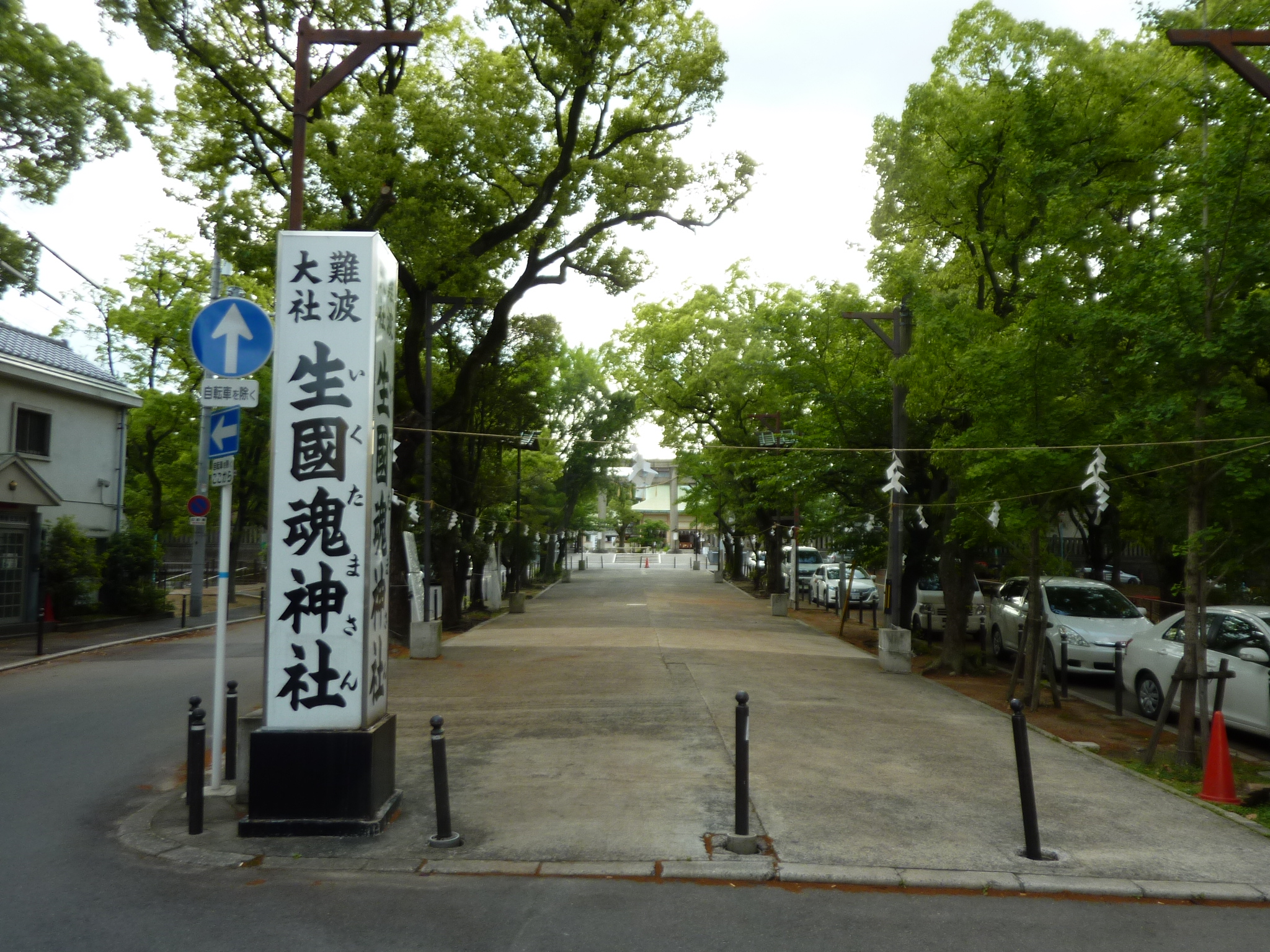P1130755.JPG