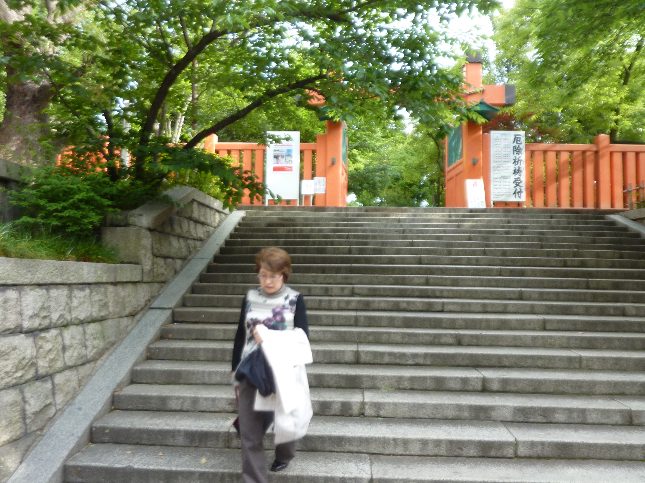 P1130776.JPG