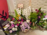 img0003.jpg