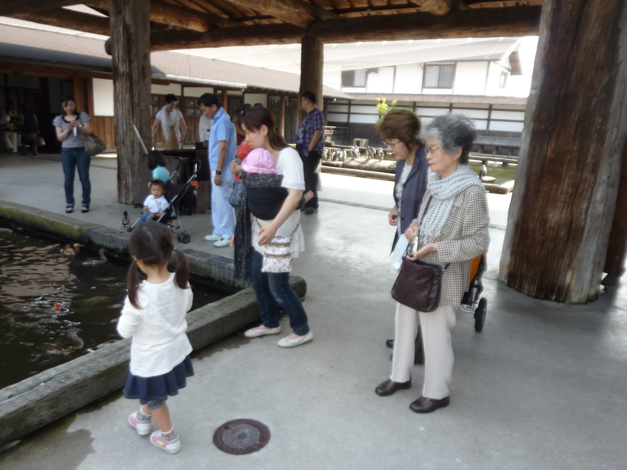 P1130924.JPG