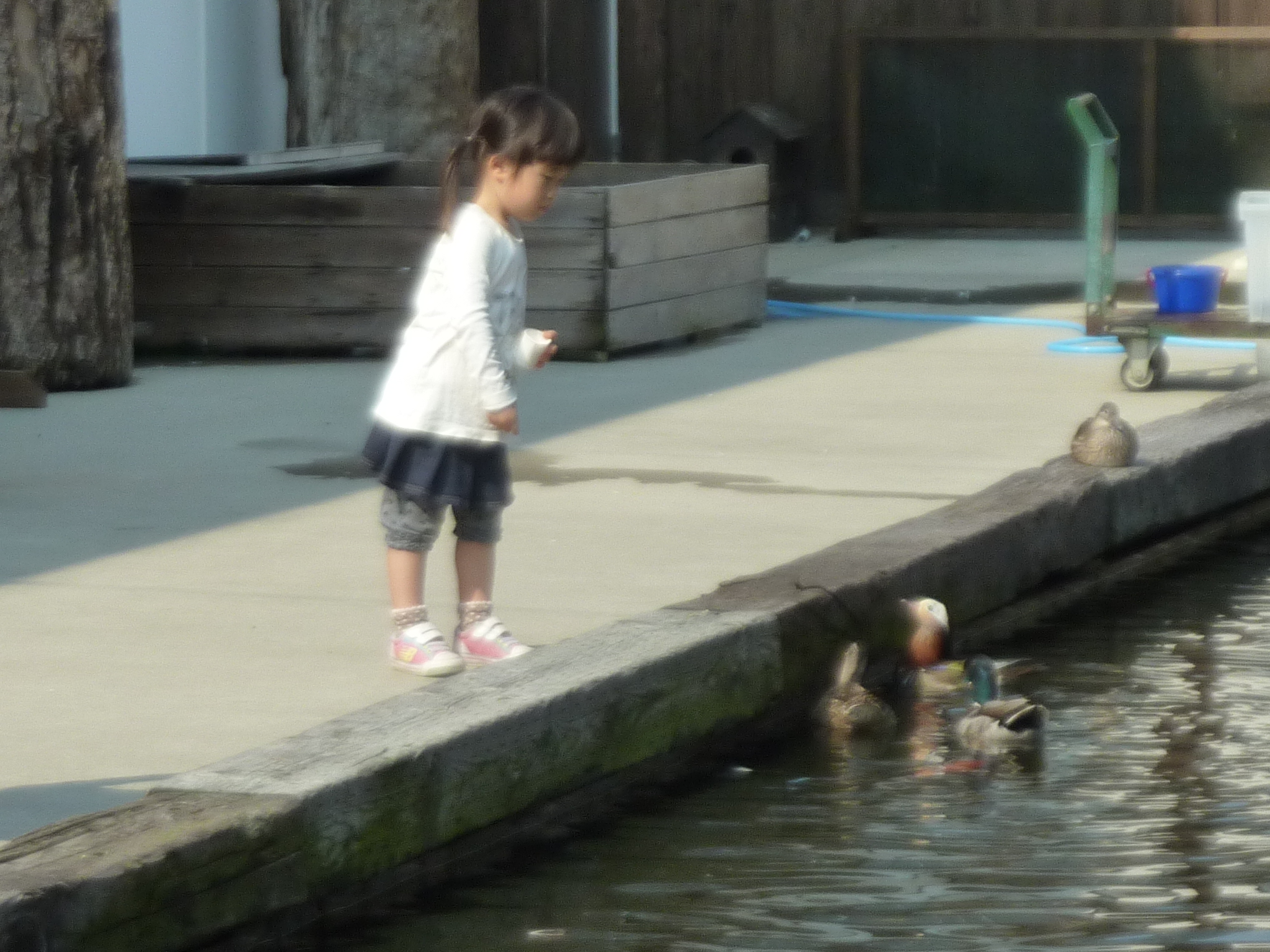 P1130928.JPG