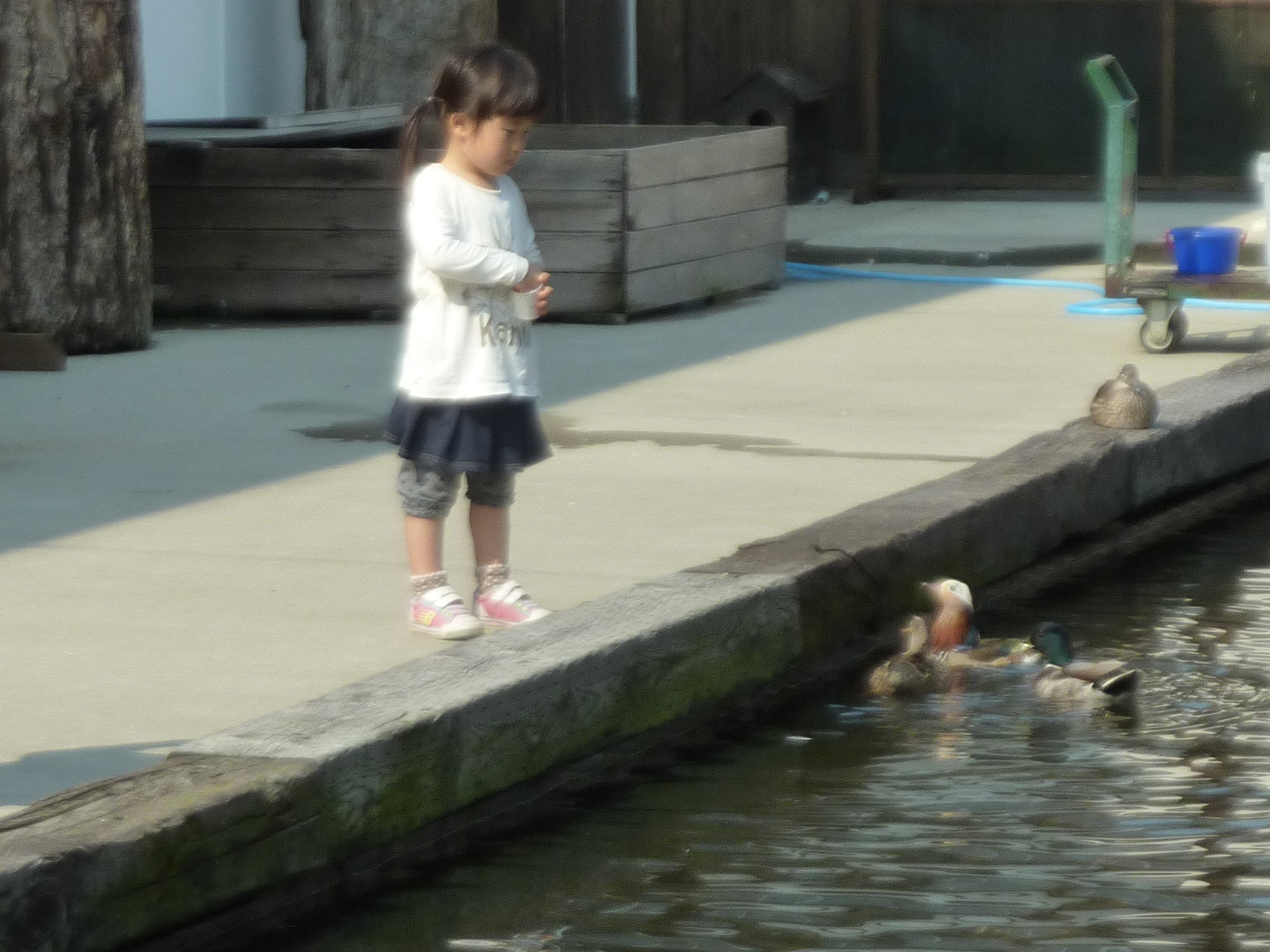 P1130929.JPG
