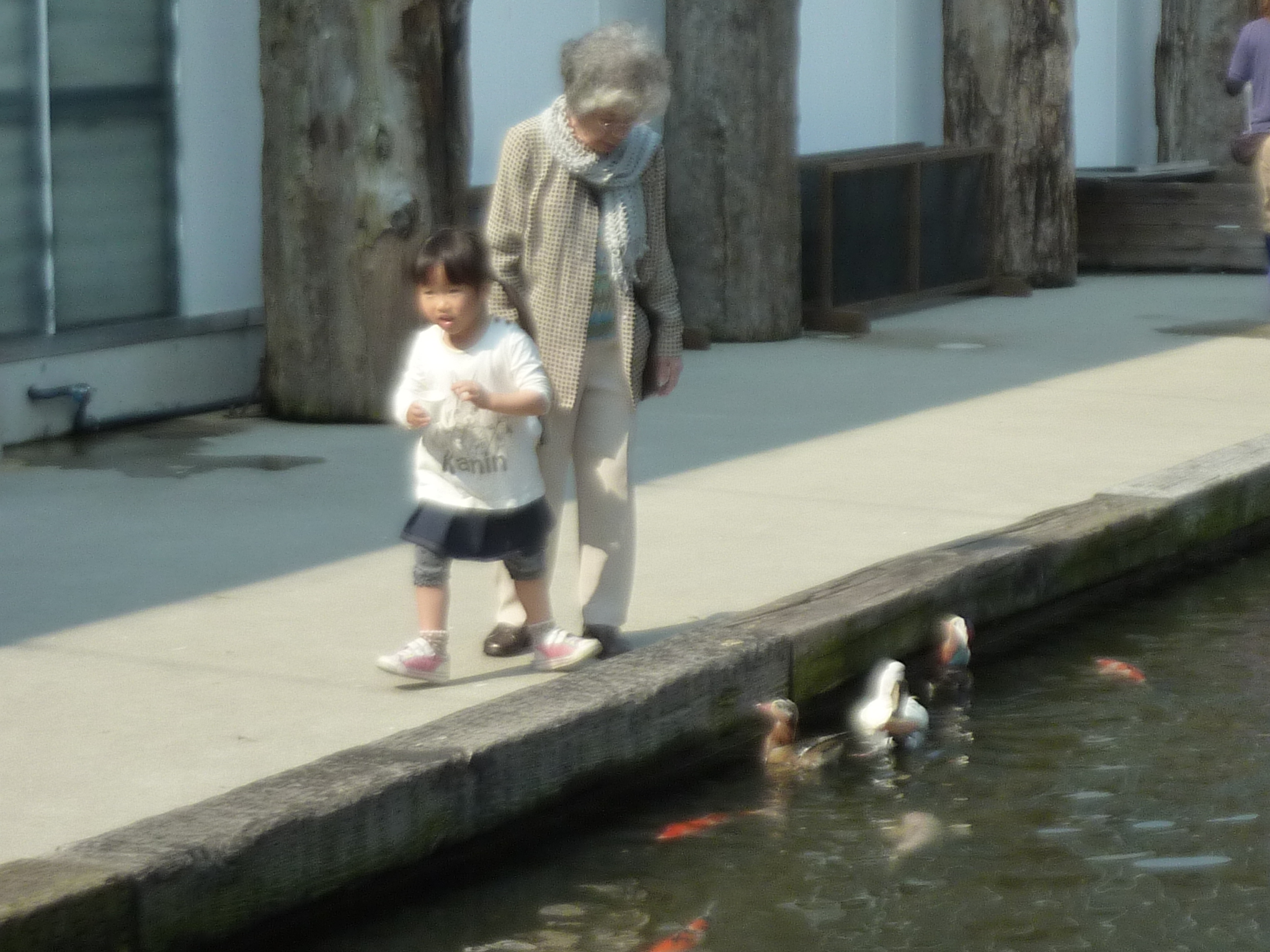 P1130931.JPG