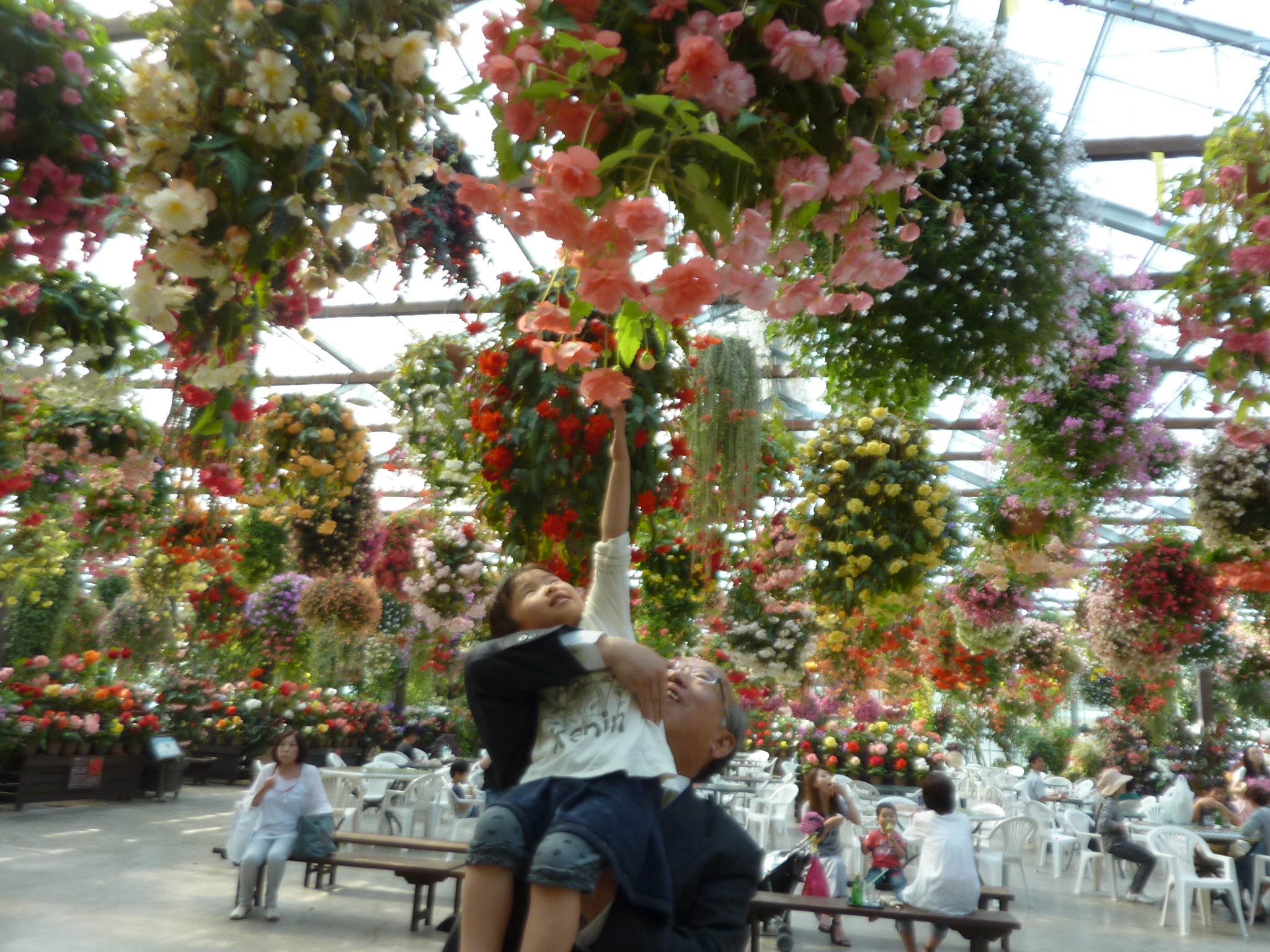 P1130934.JPG