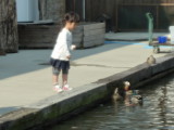 img0006.jpg