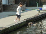 img0008.jpg