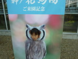 img0017.jpg