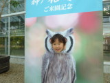 img0018.jpg