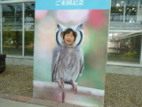 img0019.jpg