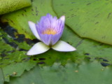 img0026.jpg