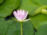 img0027.jpg