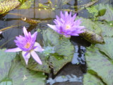 img0028.jpg