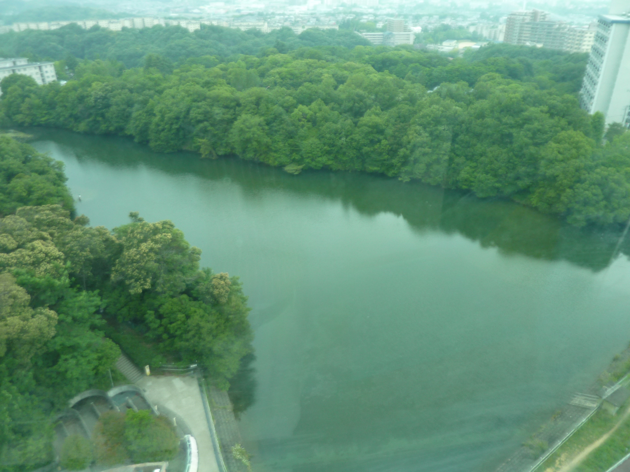 P1130983.JPG