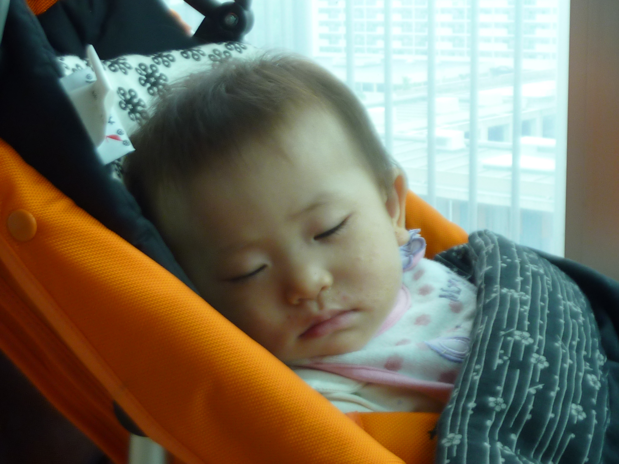 P1130990.JPG