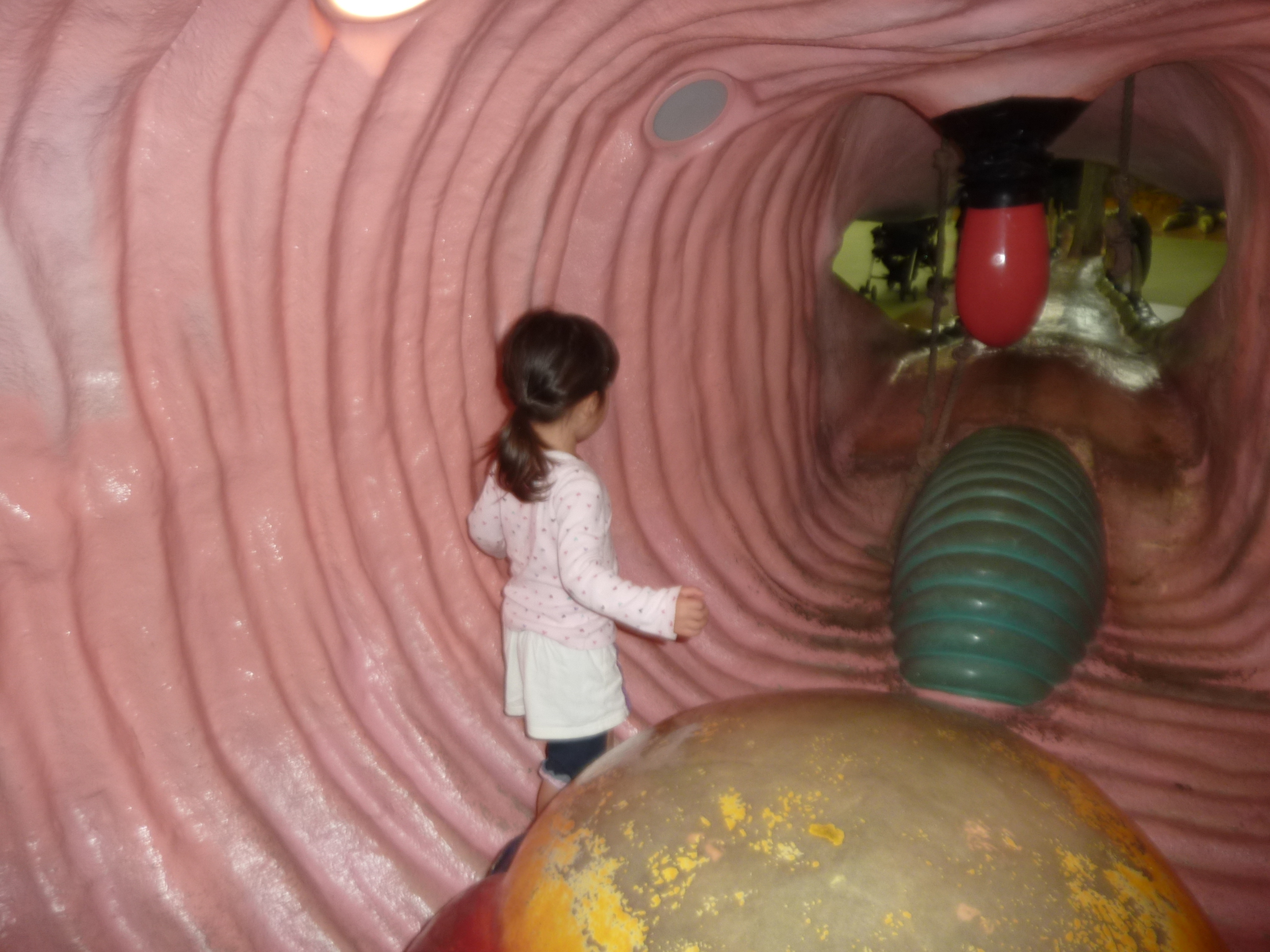 P1130993.JPG