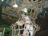img0037.jpg