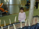 img0044.jpg