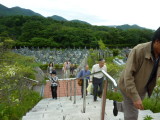 img0011.jpg