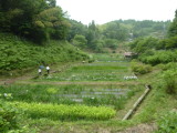 img0000.jpg