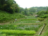 img0001.jpg