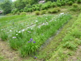 img0002.jpg