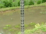 img0010.jpg