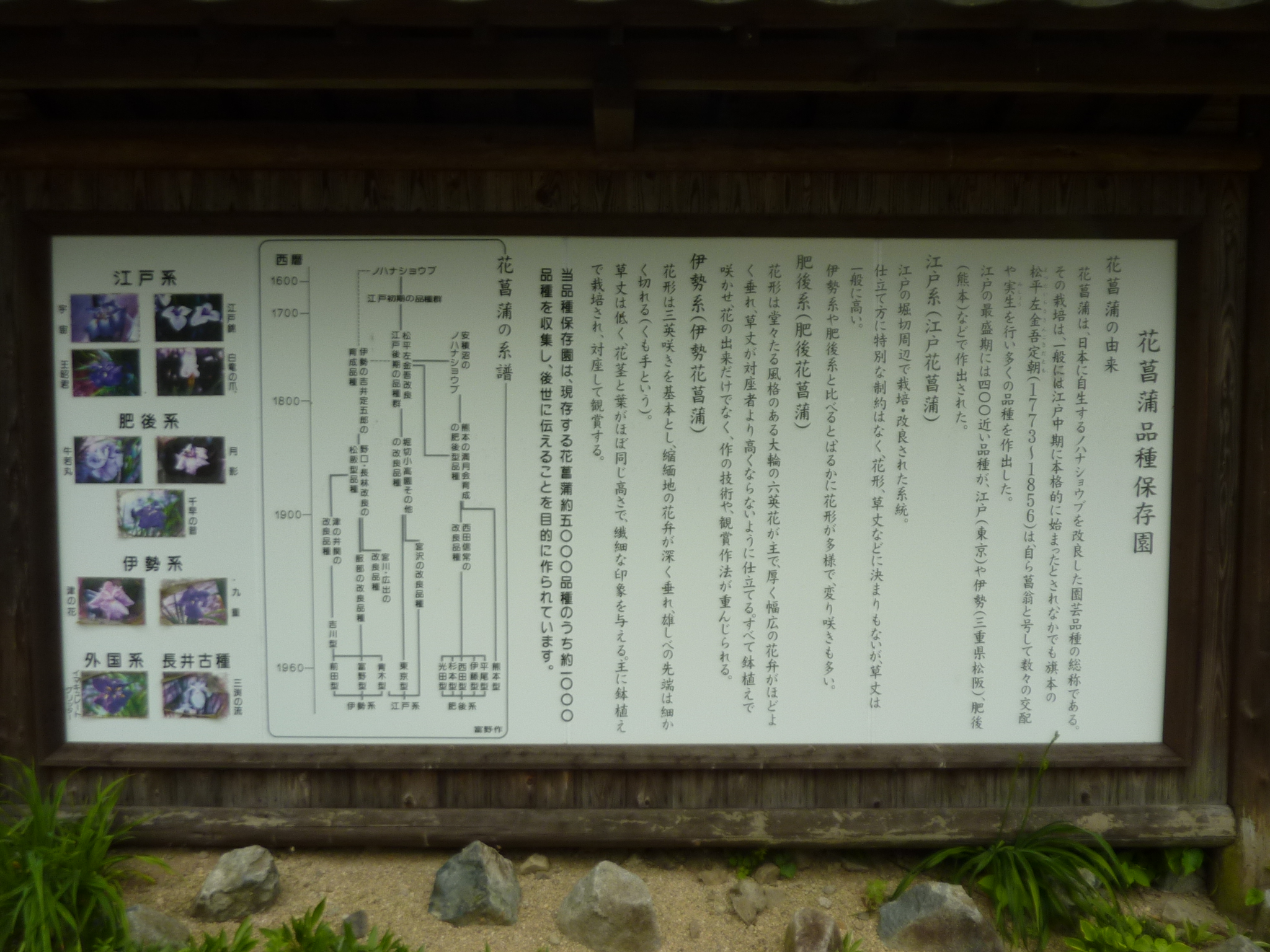 P1140124.JPG