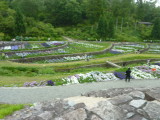 img0005.jpg