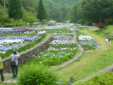 img0006.jpg
