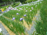 img0014.jpg